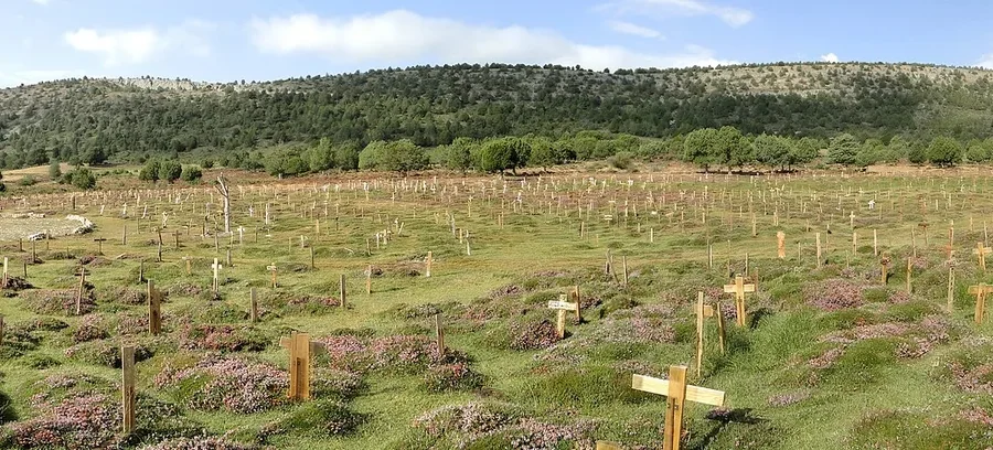 Sad Hill (Burgos): el cementerio que Leone levantó para el duelo final y que unos vecinos desenterraron 49 años después